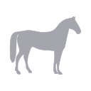 Carri�res �questres